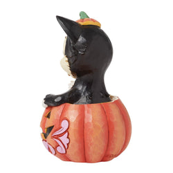 FBA - Figaro in Jack-O-Lantern Mini - Country N More Gifts