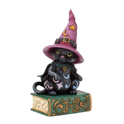 FBA - Too Cute to Spook - Black Cat Sitting on Book Pint - Country N More Gifts