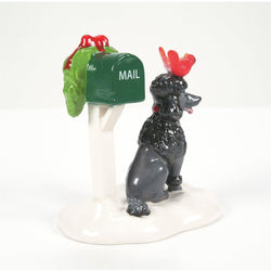 The Cardinal House Value Set - Country N More Gifts