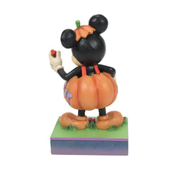 Mick-O-Lantern - Mickey Pumpkin Costume  - Country N More Gifts