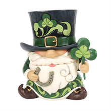 Luck of the Irish - Leprechaun Top Hat Fig