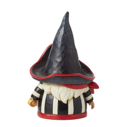 Captain Patch - Pirate Gnome Figurine  - Country N More Gifts