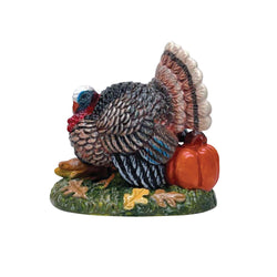 Tom Turkey - Country N More Gifts