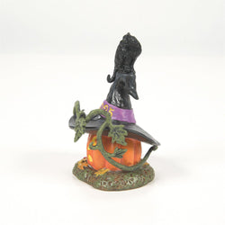 Feline Noir 2025 - Country N More Gifts