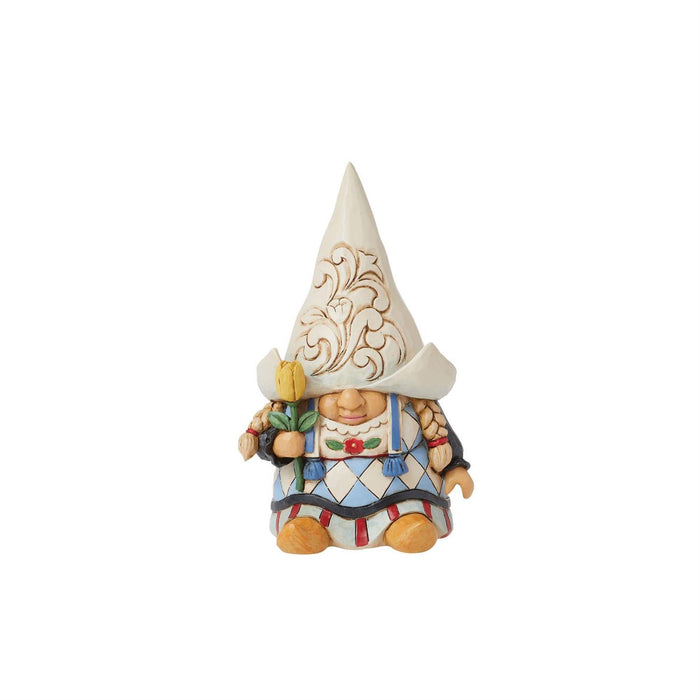 Dutch Dreams - Dutch Gnomes Around the World
