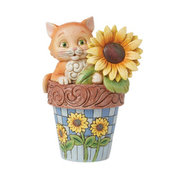 Paws 'n Petals - Cat in Flowerpot Figurine  - Country N More Gifts
