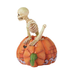 FBA - Scared To The Bone - Skeleton Pop Out Pumpkin Figurine - Country N More Gifts