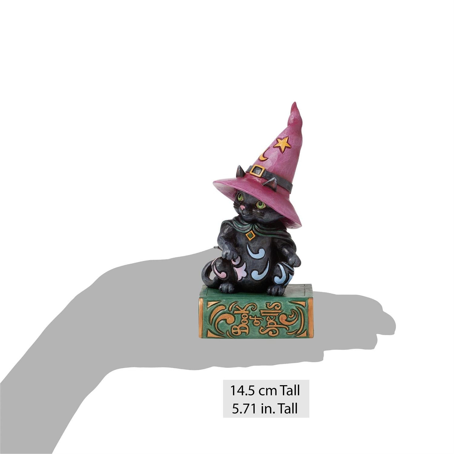 FBA - Too Cute to Spook - Black Cat Sitting on Book Pint - Country N More Gifts