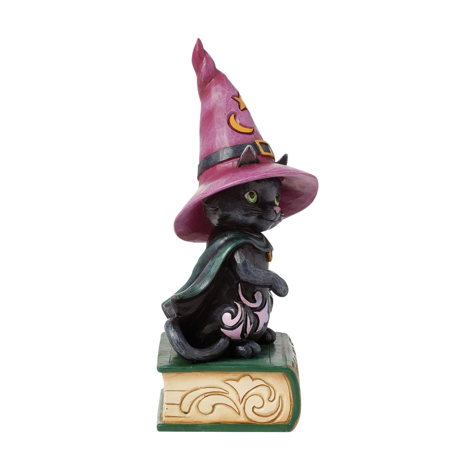 FBA - Too Cute to Spook - Black Cat Sitting on Book Pint - Country N More Gifts
