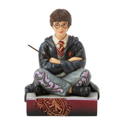 Harry Potter with Wand - Country N More Gifts