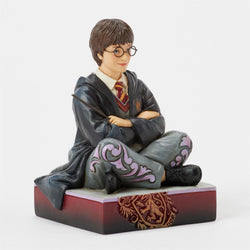 Harry Potter with Wand - Country N More Gifts