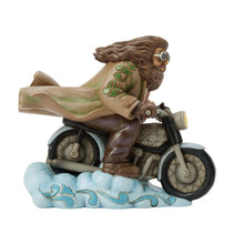 Hagrid on Bike - Harry Potter