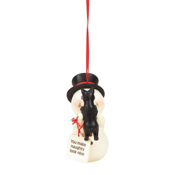 You Make Naughty Look Nice Ornament - Country N More Gifts