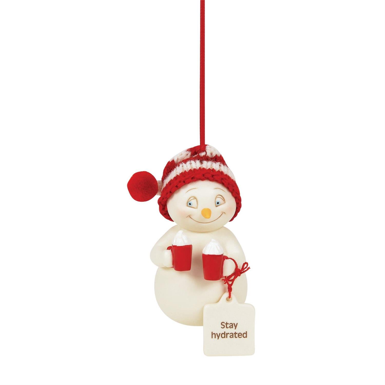 Stay Hydrated Ornament - Country N More Gifts