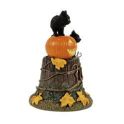 Buy Department 56 black cats sitting on a pumpkin on top of a dead stump with the roots reading 2026 from CountryNMoreGifts.com
