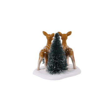 Spotted In The Wild - Country N More Gifts