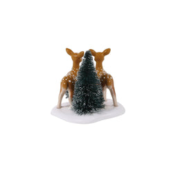 Spotted In The Wild - Country N More Gifts