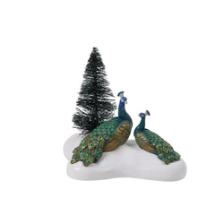 Proud In The Snow - Country N More Gifts