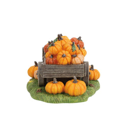 Hey There Pumpkin! - Country N More Gifts