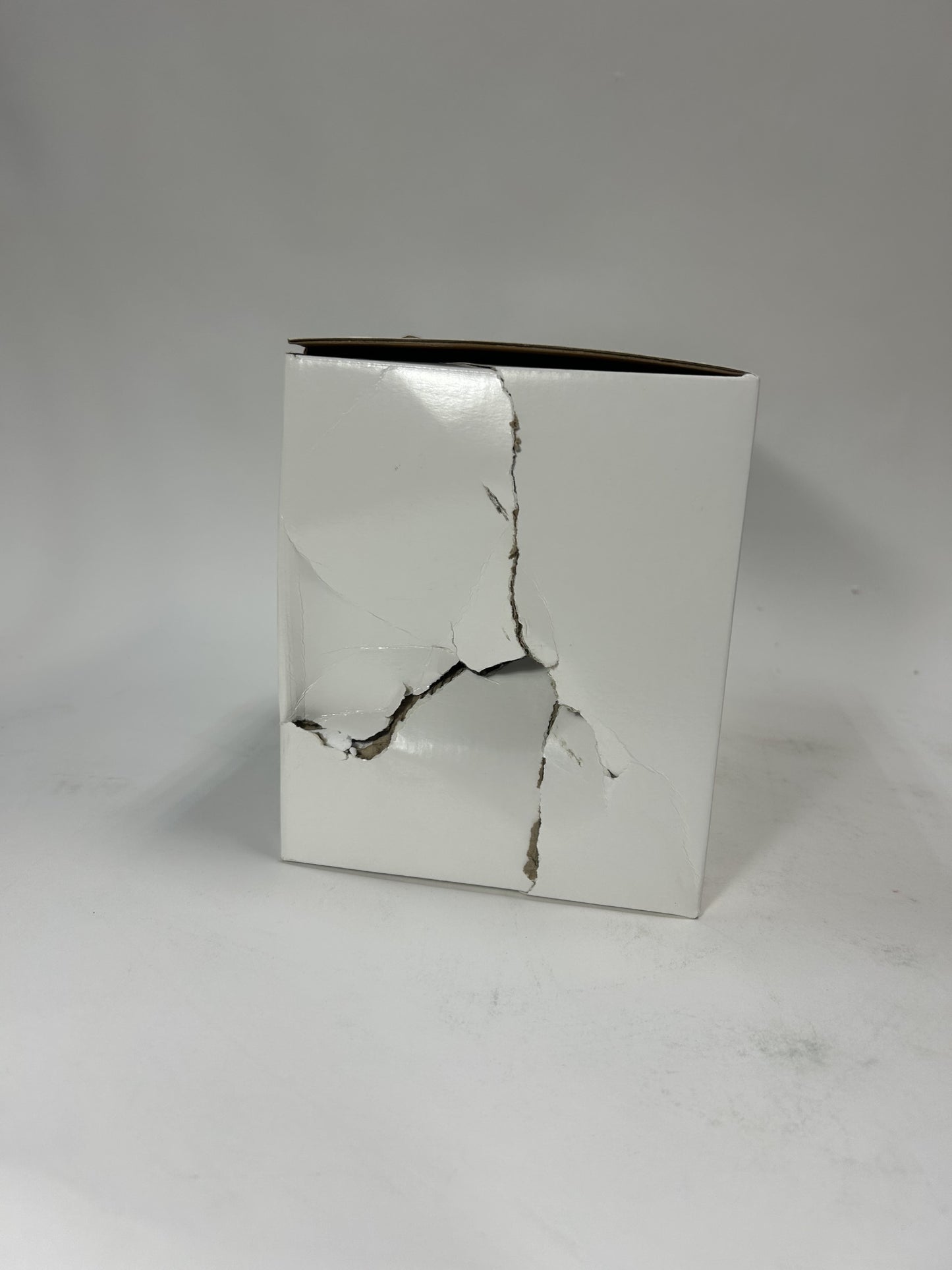 BOX DAMAGE + DAMAGED HAS BEEN FIXED - Blessings Of Peace From Heaven Above Limited Edition Figurine - Country N More Gifts