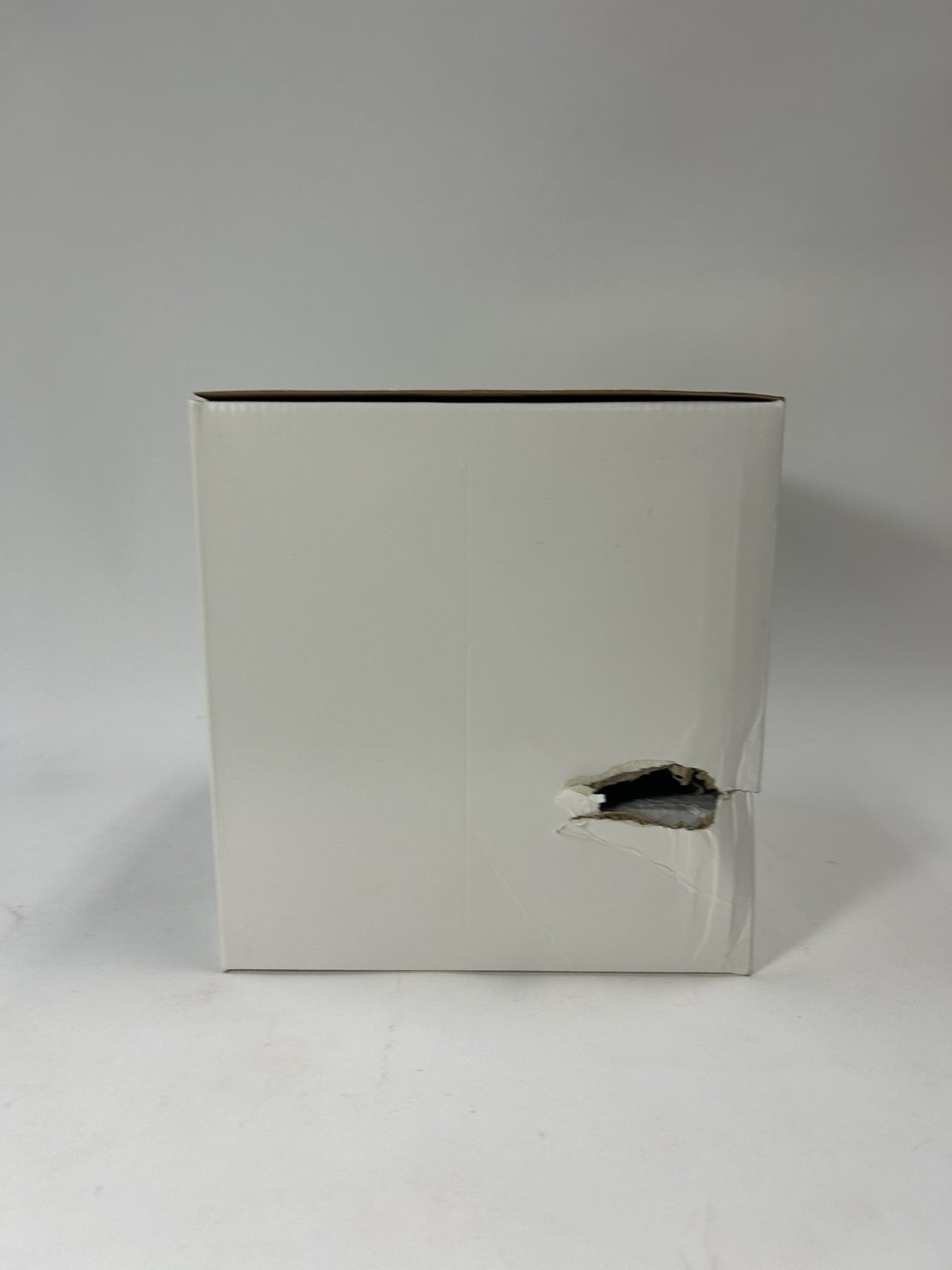 BOX DAMAGE - Your Wish Is Always Complementary Disney Mary Poppins Figurine - Country N More Gifts