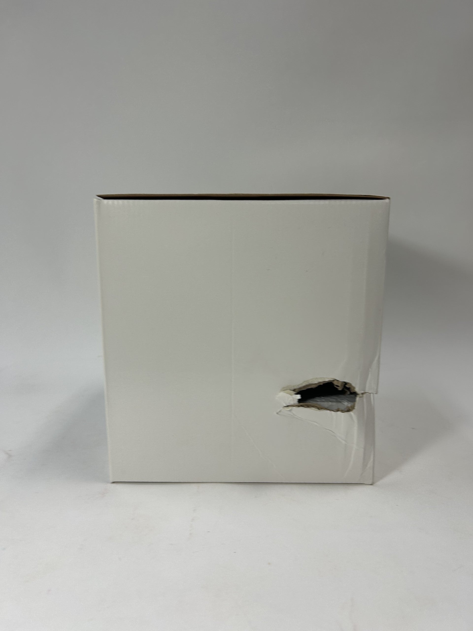 BOX DAMAGE - Your Wish Is Always Complementary Disney Mary Poppins Figurine - Country N More Gifts