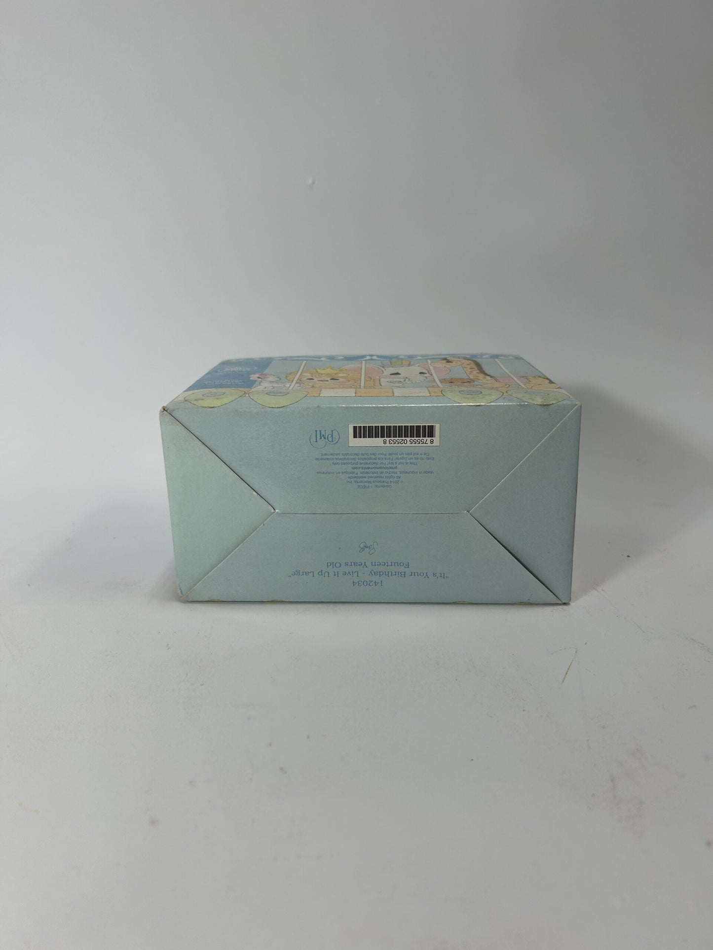 BOX DAMAGE - 14 It's Your Birthday - Live It Up Large - Age 14 Walrus - Country N More Gifts