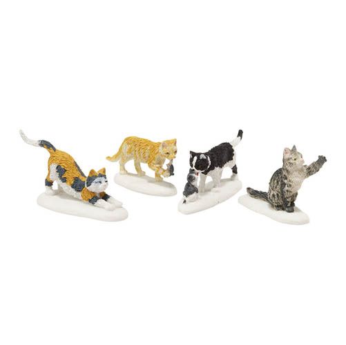 Stray Cat Strut  - Country N More Gifts