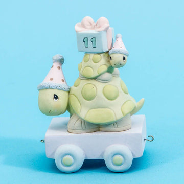 11 Take Your Time It's Your Birthday - Age 11 Turtle  - Country N More Gifts