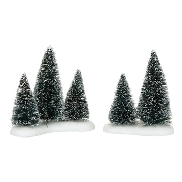Sisal Tree Groves  - Country N More Gifts