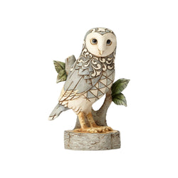 Wisdom Begins With Wonder - White Woodland Owl on Branch  - Country N More Gifts