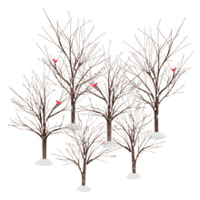 Village Bare Branch Trees
