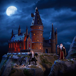 Hogwarts Great Hall And Tower And Harry And The Headmaster SET  - Country N More Gifts