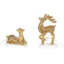 Lit Deer Yard Décor
