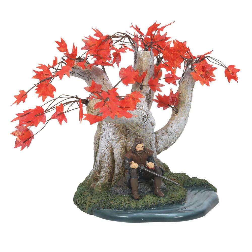 Ned Stark  - Country N More Gifts