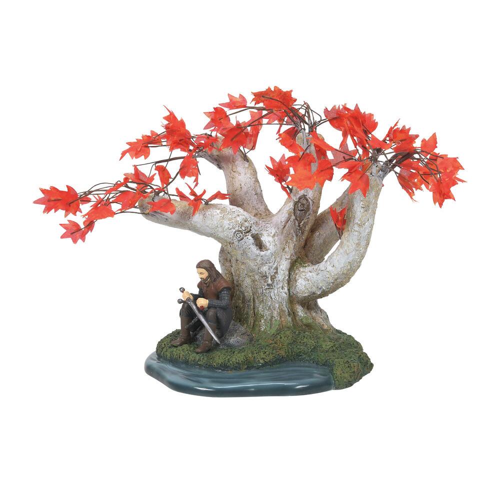 Ned Stark  - Country N More Gifts