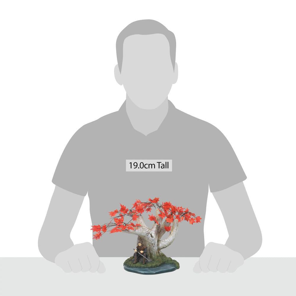 Ned Stark  - Country N More Gifts