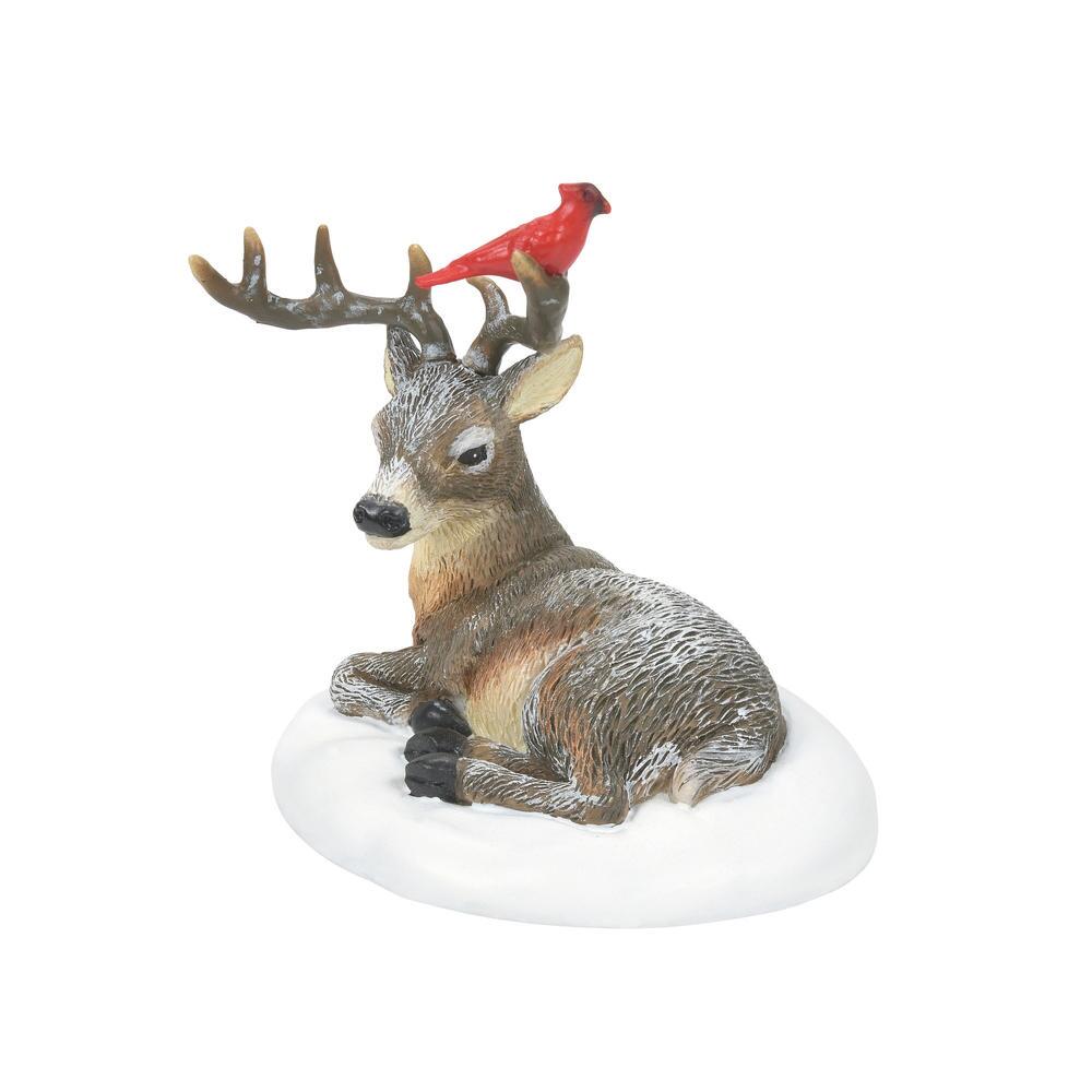 BOX DAMAGE -Cardinal Christmas Deer - Country N More Gifts