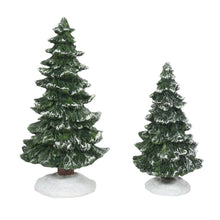 BOX DAMAGE - Christmas Spruces Set of 2