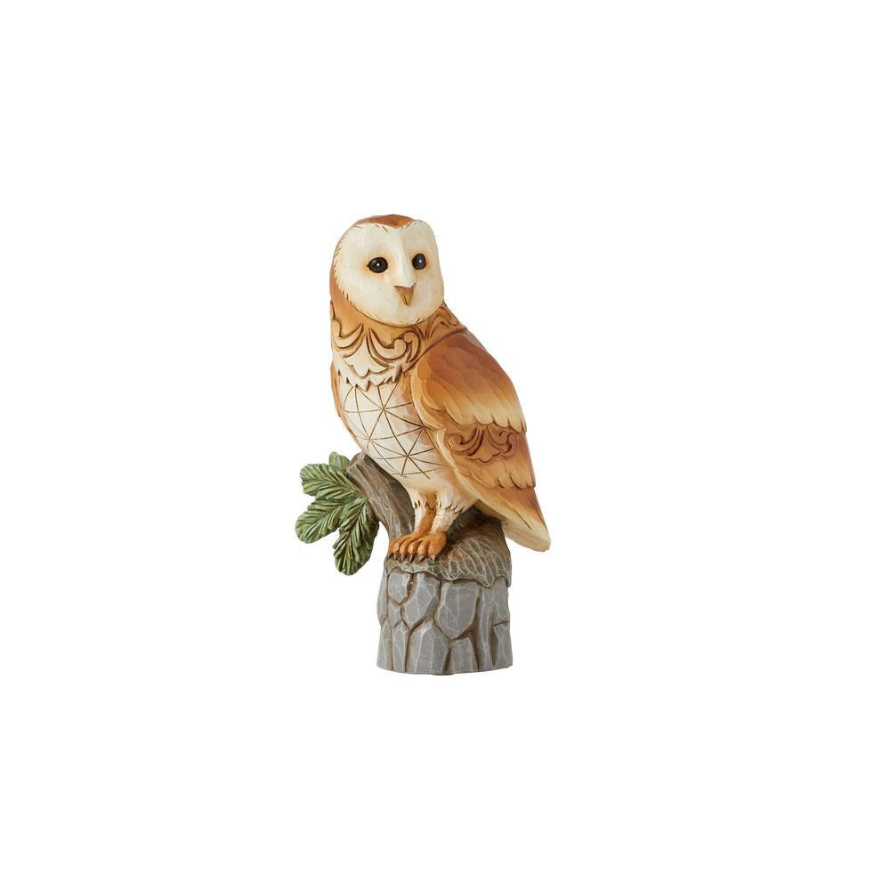 Woodland Wisdom - Barn Owl  - Country N More Gifts