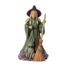 BOX DAMAGE - Magic by the Moonlight - Witch with Cat and Broom