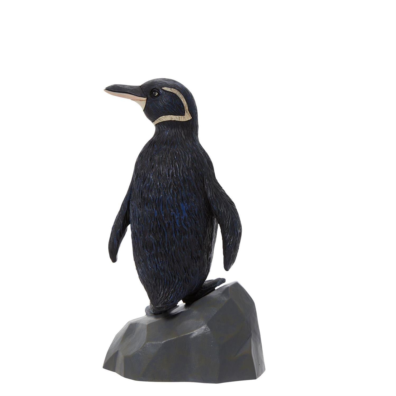Galapagos Penguin  - Country N More Gifts