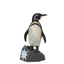 Galapagos Penguin  - Country N More Gifts