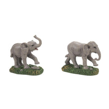 Zoological Garden Elephants Set of 2