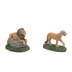 Zoological Gardens Lions Set of 2  - Country N More Gifts