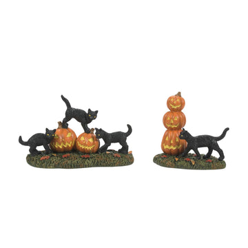 Scary Cats Pumpkins ST/2  - Country N More Gifts